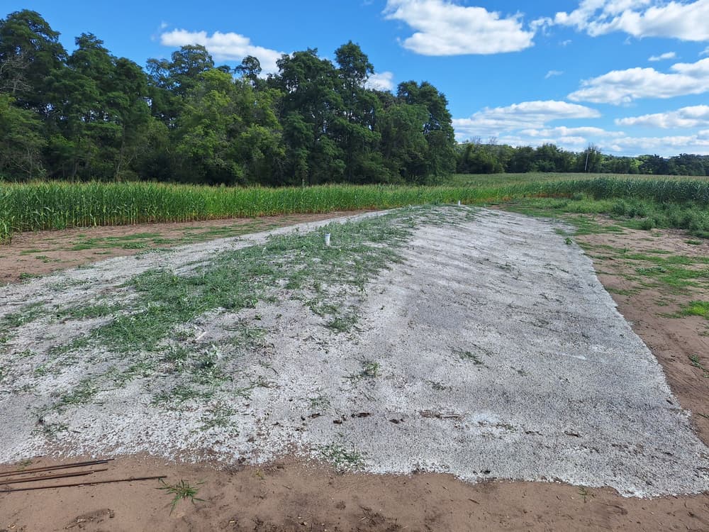 Project Hydroseeding Bare Ground in Mondovi WI image